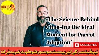 "The Science Behind Choosing the Ideal Moment for Parrot Adoption"|نیوفینسربیسٹ موسم طوطوے خریدنے کا