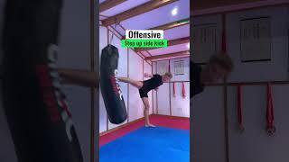 Offensive Vs defensive kicks#shorts