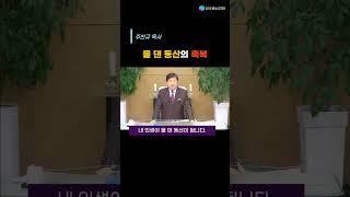 [요약설교] 물 댄 동산의 축복 - 주찬규 목사 Pastor Joo Chankyu #shorts #shortsermon