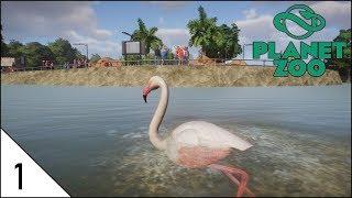 Planet Zoo Let's Play Ep 1 - Unleash the Flamingos!!!