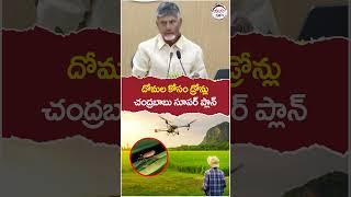 Chandrababu About Agricultural Drones | #pawankalyan | #agricultureap | #yuvagalam | #shortstelugu