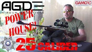 "NEW" Gamo Hunter Extreme 25 "Full Review" by Airgun Detectives