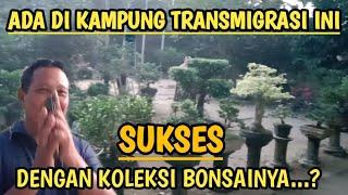 Transmigran sukses penghobi bonsai di kampung transmigrasi sumatera