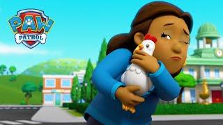 The Chicken Or The Egg?  - PAW Patrol Episode - Cartoons for Kids Compilation