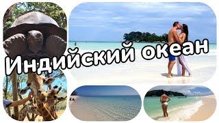 Сейшелы или Маврикий – что лучше подойдет для отдыха?