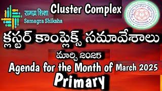 Cluster Complex Meeting/March 2025/Primary/Agenda/Guidelines/Instructions