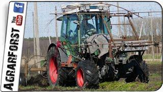 HOPFEN Schneiden 2021  FENDT 200 Vario mit Wetzl Schneidgerät