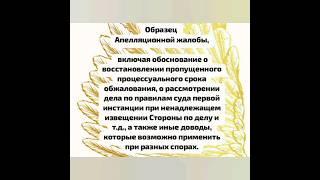 Образец Апелляционной жалобы и Возражений для отмены Судебного приказа. Мариета Аслановна Мешвез.