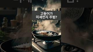 고등어 구이, 미세먼지 매우나쁨의 26배 진실은? #30초과학 #생활과학 #과학상식 #미세먼지 #고등어 #고등어 미세먼지 #실내미세먼지