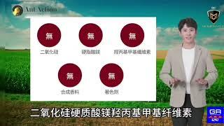 解決關節問題的「MSM有機硫到底是什麼呢?