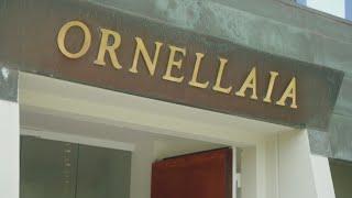 Vin-X visit Tuscany and the fabulous Ornellaia winery