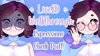 How to rig expressions and set them up in VTube Studio! | Live2D Walkthrough Series #3