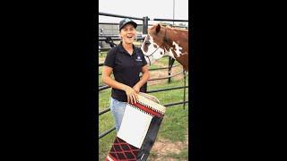 How to Saddle a Horse: A Step-by-Step Guide