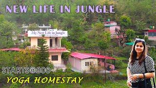 Homestay In Himalayas Rishikesh - Yog & Meditation - Stress Release by Music - Stay in Nature