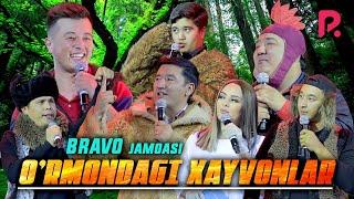 Bravo jamoasi - O'rmondagi xayvonlar | Браво жамоаси - Урмондаги хайвонлар