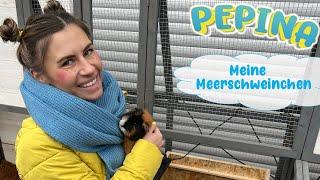  Pepinas Meerschweinchen  Käfig misten, füttern & streicheln