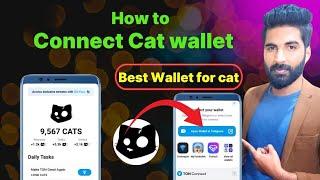 How to connect wallet in cat | Cat wallet connect | connect okx wallet | connect tonkeeper Wallet