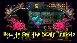 Terraria Xbox/Playstation How To Get The Scaly Truffle | Pigron Mount!