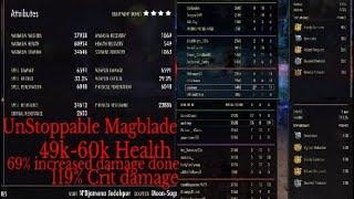 Unstoppable 50k Health Magblade Brawler PvP