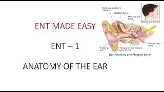 The Incredible Structure and Function of the Human Ear - ENT MADE EASY - ENT 3. PLAB USMLE NEET PG