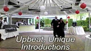 Michigan DJ Service Metro Detroit Wedding DJ