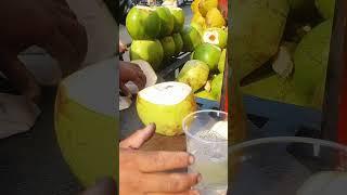 Coconut Cutting Techniques & Tips: The Ultimate Guide