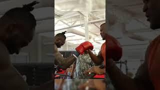 Francis Ngannou meets former heavyweight world champion Deontay Wilder 