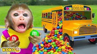 Monkey Koko Eats Rainbow Candy & Plays Colorful Cola Fanta Jelly Bus | KUDO KOKO CHANNEL