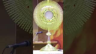 Extend your hands and touch Jesus By Fr Jose @LogosVoiceTV
