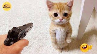 Funny ANIMALS videos  | Funniest Cats and Dogs 2025  | Part 08