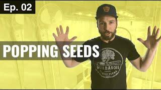 HOW TO GERMINATE SEEDS DIRECTLY IN SOIL Season 3, Episode 2