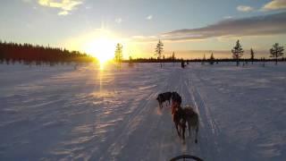 60 Seconds Travelogue - Adventures in Lapland....in 60 seconds