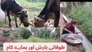 Tofani Barish  Main hamry Routine | Mud house life in pakistan| Garmeon ki phaly Barish