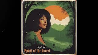 Perfect Soul - "Spirit of the Forest" | 1977 Strings Soul Sample