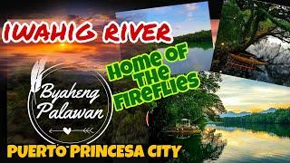 Iwahig River | Home of Fireflies | Puerto Princesa Palawan