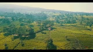 Wisata kebun teh lembang ||sukawana|| bandung|