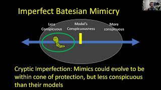 Batesian mimic more detectable than its model in a poison frog complex [Mcewen, Brendan L]