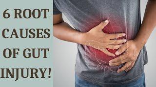 ROOT CAUSES OF GUT INJURY II Start healing today!