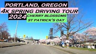 Portland, Oregon | 4k Spring Driving Tour | Cherry Blossoms | St Patrick's Day | 2024