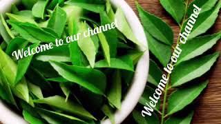 How to store curry leaf for long time? Tips time