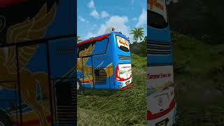 livry PT trans port expres shd bus ori bussid #bussidupdate #shorts #subscribe #shortsfeed