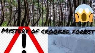 mystery of crooked forest /Tamil/explained /mysterious world/#