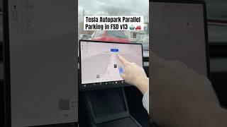 Tesla Autopark Is Even Faster in FSD v13! 