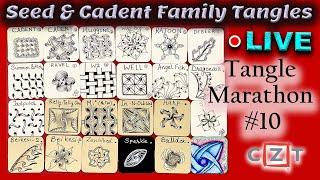 How to draw tangles - Seed & Cadent Family Tangles  - Draw with CZT - Tangle Marathon - Day #10