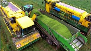 1.8 Billion Pounds Of Peas Are Harvested And Processed This Way | Agriculture Technology