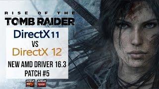 Rise Of The Tomb Raider : DX11 vs DX12 Benchmark With FPS R9 280X FX 8350 [March 11th 2016 Patch]