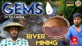 LIVE Mining Gems on River Bank  ⭕ #rosequartz #Gems #gemstones #LiveStream #UpcycledGems #nature