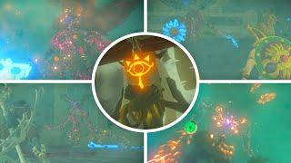 Zelda Breath of the Wild - All DLC Bosses Master Mode (No Damage) The Champions Ballad