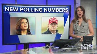 Marquette Law School National Poll: Harris Leading Trump in Presidential Election