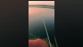 ХЕРАБУНА БАГРИТ КАРАСЕЙ